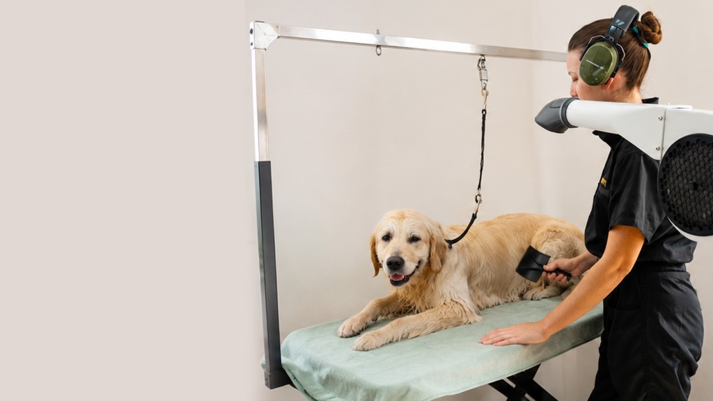 Grooming in progress at Hound Pet Salon Kimberley — groomer drying and brushing a golden retriever on the grooming table